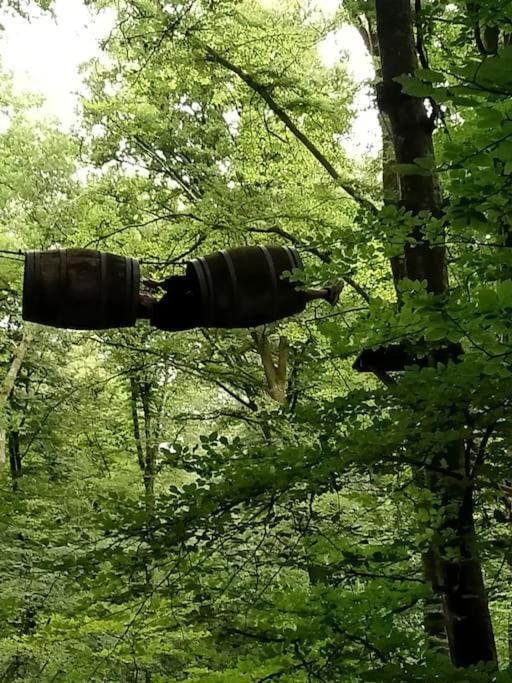 Le Mimosa, Maison De Vacances Trans Exteriér fotografie